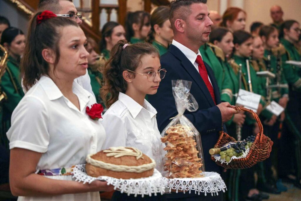 Losowe zdjęcie z galerii