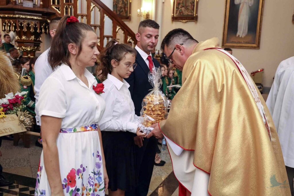 Losowe zdjęcie z galerii