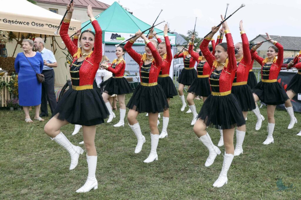 Losowe zdjęcie z galerii