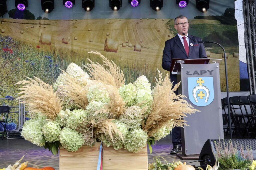 Losowe zdjęcie z galerii