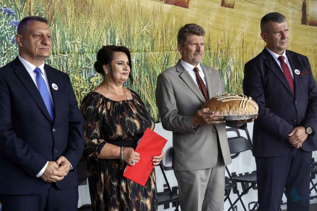 Losowe zdjęcie z galerii
