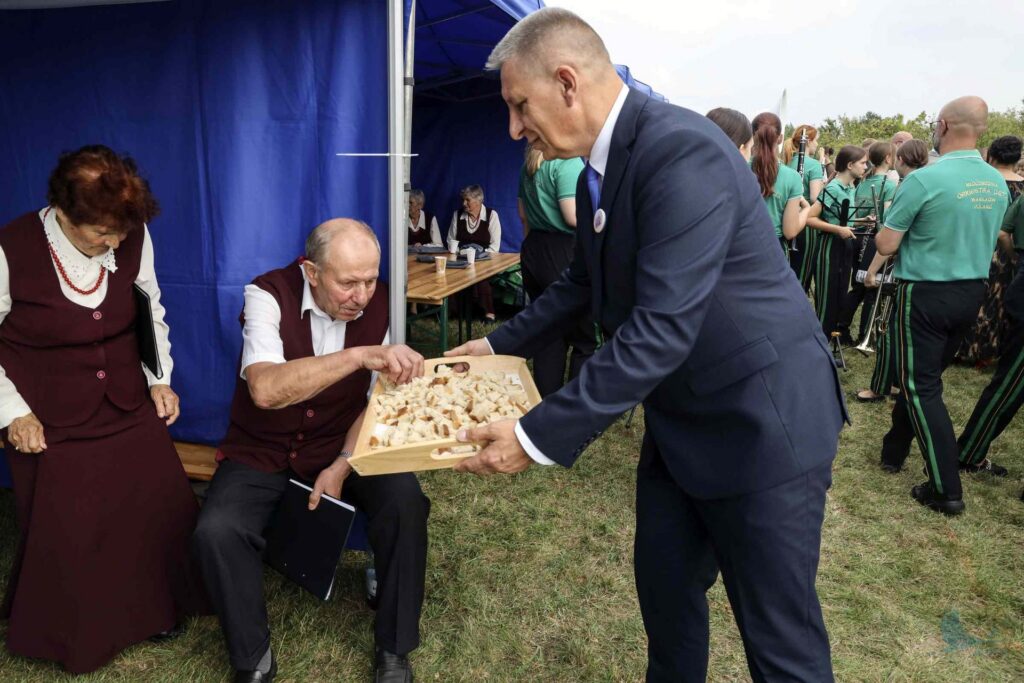 Losowe zdjęcie z galerii