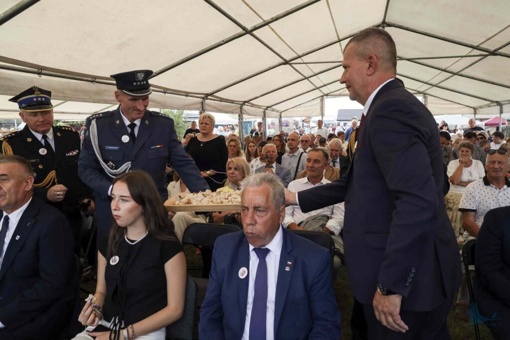 Losowe zdjęcie z galerii