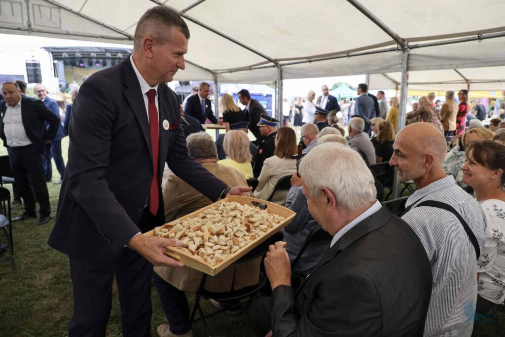 Losowe zdjęcie z galerii