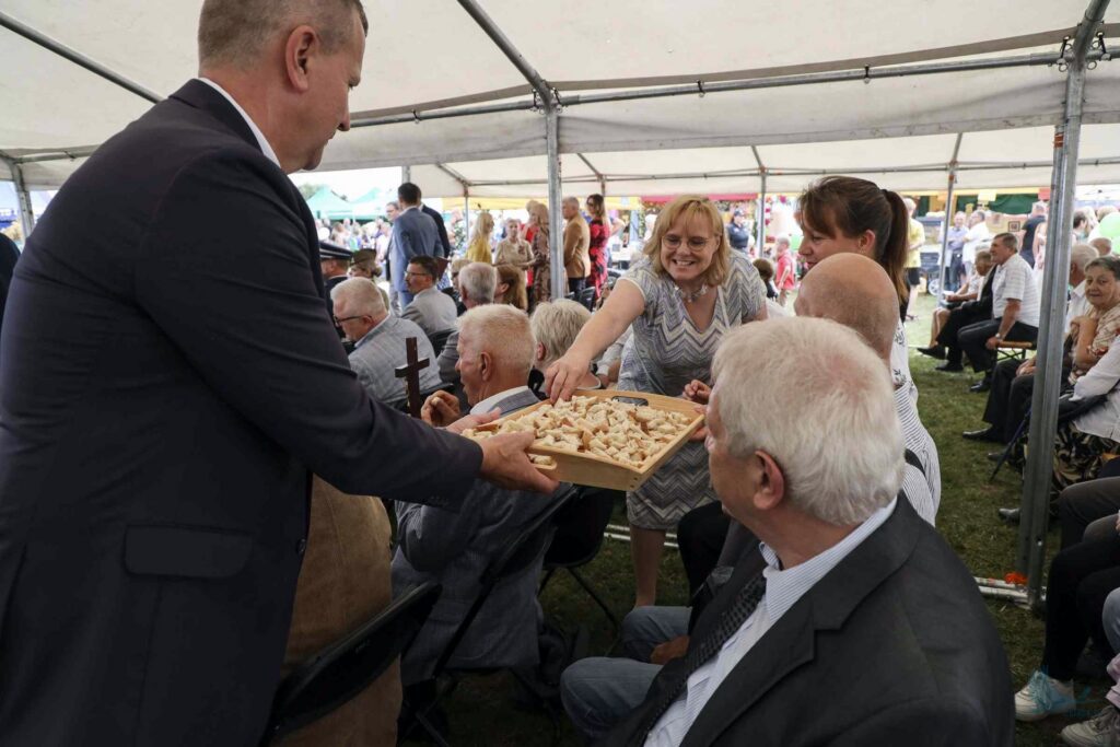 Losowe zdjęcie z galerii