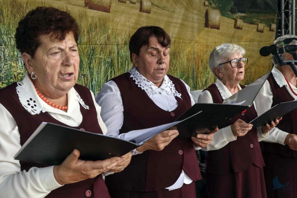 Losowe zdjęcie z galerii