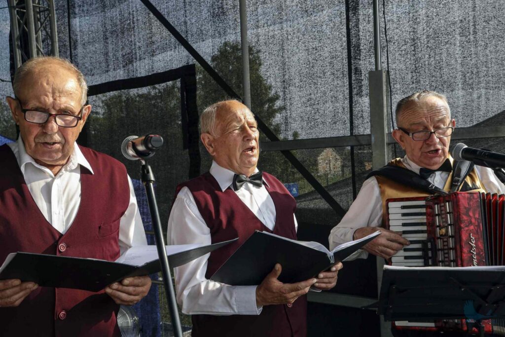 Losowe zdjęcie z galerii