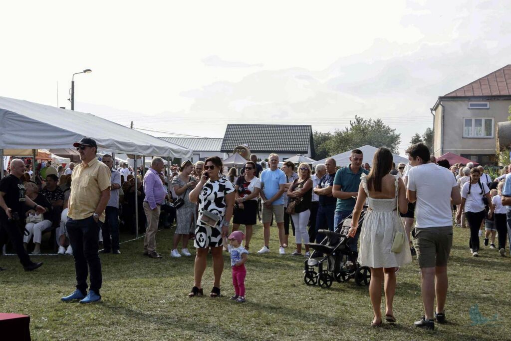 Losowe zdjęcie z galerii