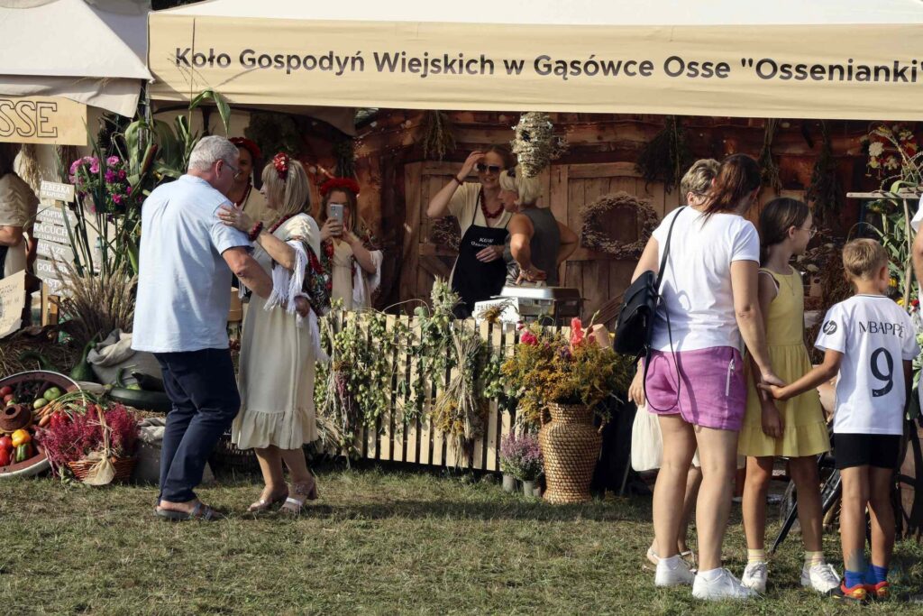 Losowe zdjęcie z galerii