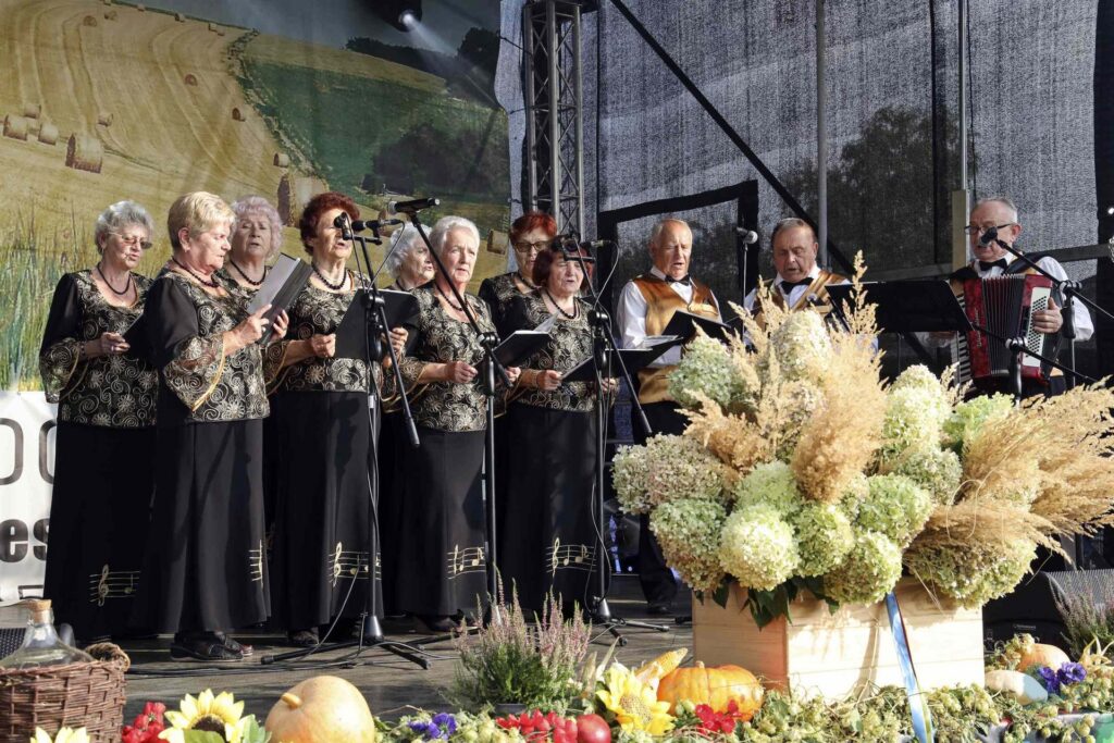 Losowe zdjęcie z galerii