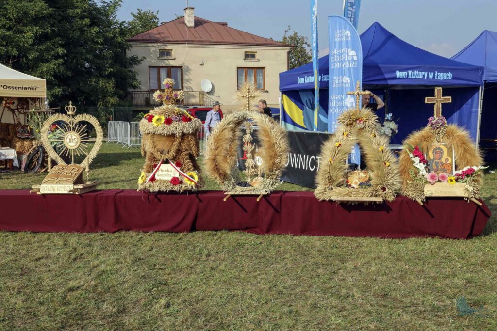 Losowe zdjęcie z galerii
