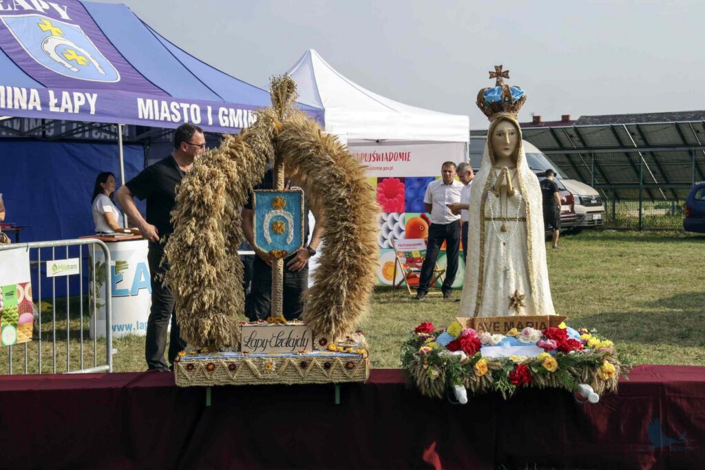 Losowe zdjęcie z galerii