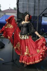 Dożynki z Produktem Lokalnym gminy Łapy 2025 dkLapy.PL