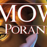 obrazek z serwisu dkLapy.PL