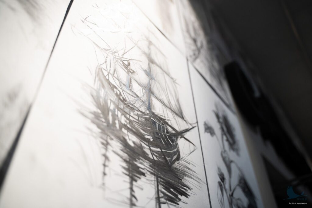 Losowe zdjęcie z galerii