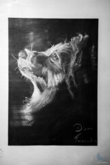 wystawa rysunków uczestników pracowni Trzy Kolory dkLapy.PL