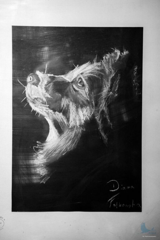 Losowe zdjęcie z galerii