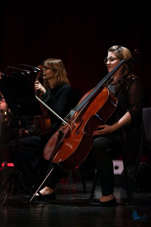 Losowe zdjęcie z galerii