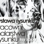 obrazek z serwisu dkLapy.PL