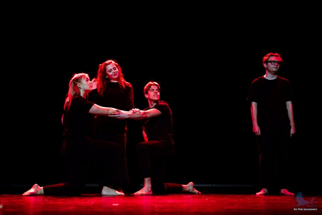 Losowe zdjęcie z galerii