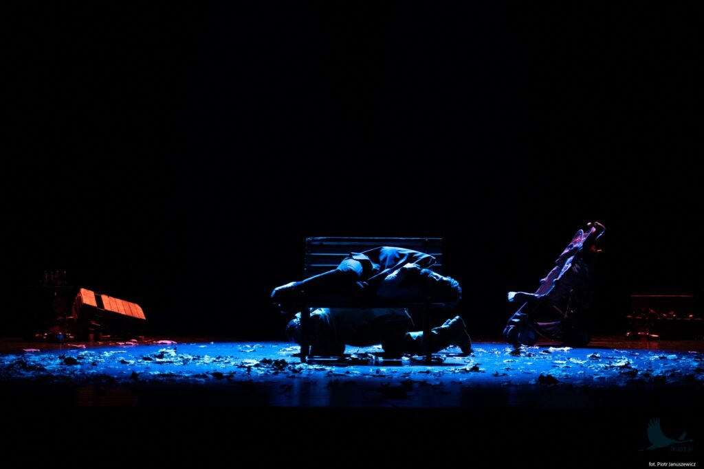 Losowe zdjęcie z galerii