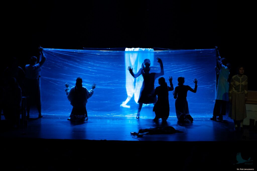 Losowe zdjęcie z galerii