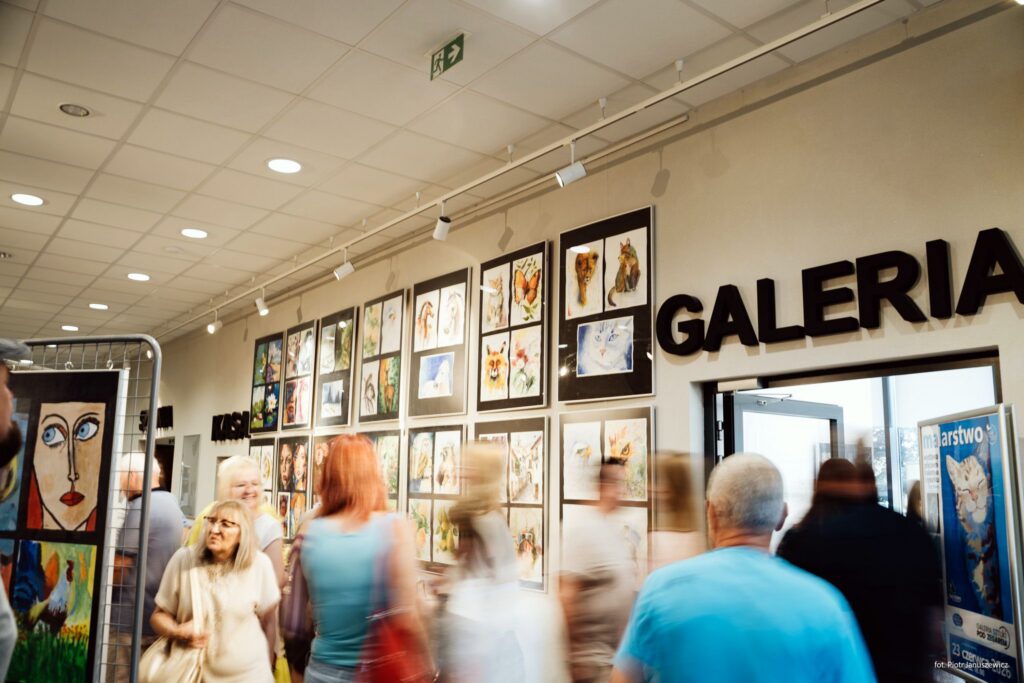 Losowe zdjęcie z galerii