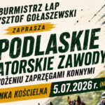 obrazek z serwisu dkLapy.PL