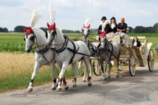 2. Podlaskie amatorskie zawody w powożeniu zaprzęgami konnymi