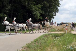 2. Podlaskie amatorskie zawody w powożeniu zaprzęgami konnymi