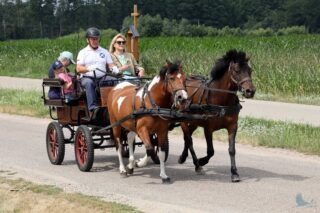 2. Podlaskie amatorskie zawody w powożeniu zaprzęgami konnymi