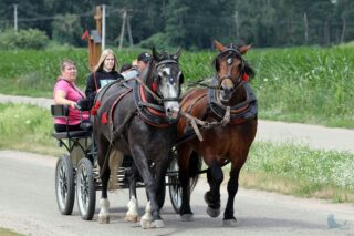 2. Podlaskie amatorskie zawody w powożeniu zaprzęgami konnymi