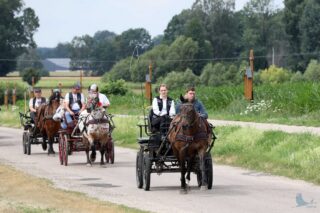 2. Podlaskie amatorskie zawody w powożeniu zaprzęgami konnymi