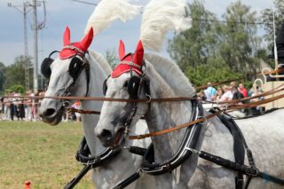 2. Podlaskie amatorskie zawody w powożeniu zaprzęgami konnymi