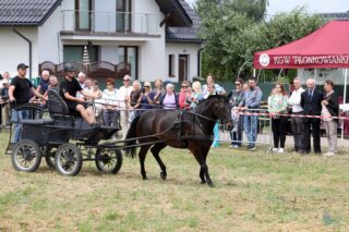2. Podlaskie amatorskie zawody w powożeniu zaprzęgami konnymi