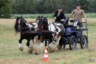 2. Podlaskie amatorskie zawody w powożeniu zaprzęgami konnymi