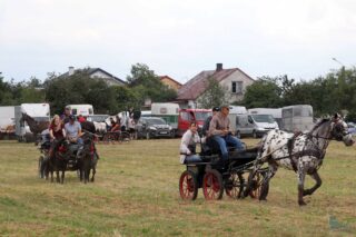 2. Podlaskie amatorskie zawody w powożeniu zaprzęgami konnymi