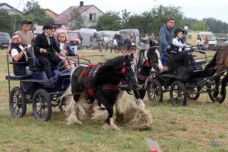 2. Podlaskie amatorskie zawody w powożeniu zaprzęgami konnymi