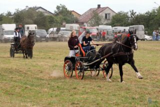2. Podlaskie amatorskie zawody w powożeniu zaprzęgami konnymi