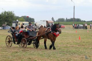 2. Podlaskie amatorskie zawody w powożeniu zaprzęgami konnymi