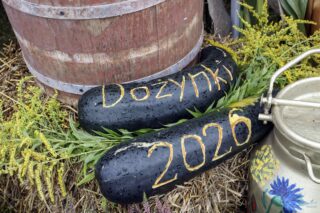 Dożynki z produktem lokalnym gminy Łapyn6 września 2026 r. Płonka Kościelna