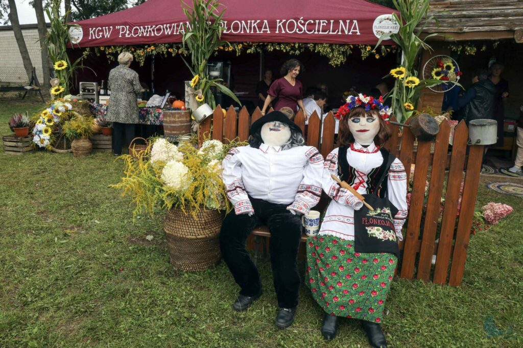 Losowe zdjęcie z galerii