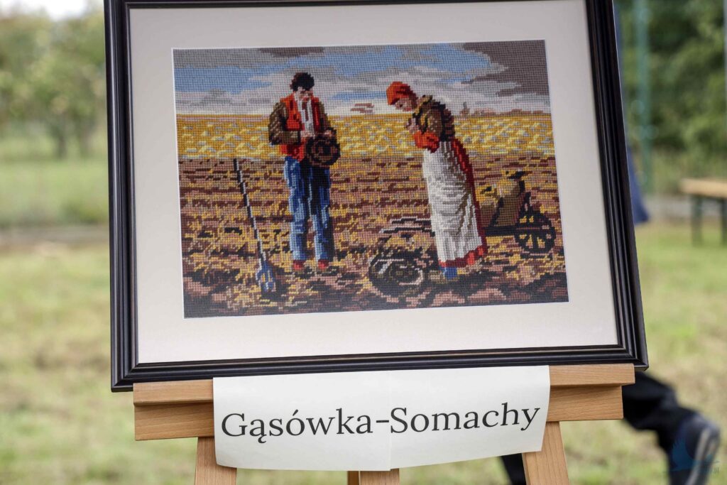 Losowe zdjęcie z galerii