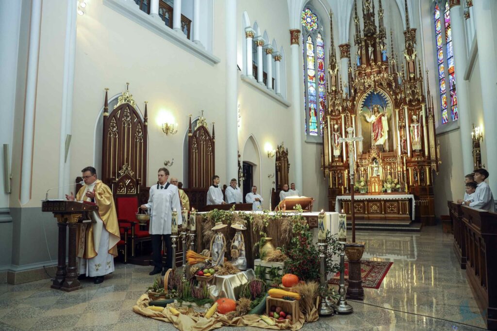 Losowe zdjęcie z galerii