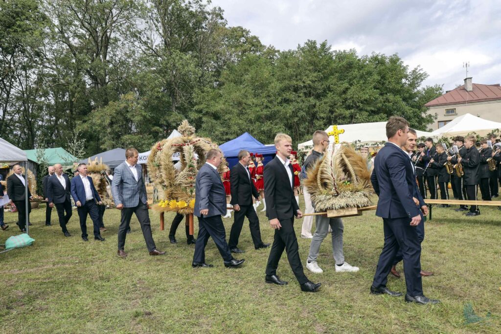 Losowe zdjęcie z galerii