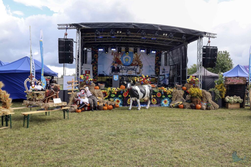 Losowe zdjęcie z galerii