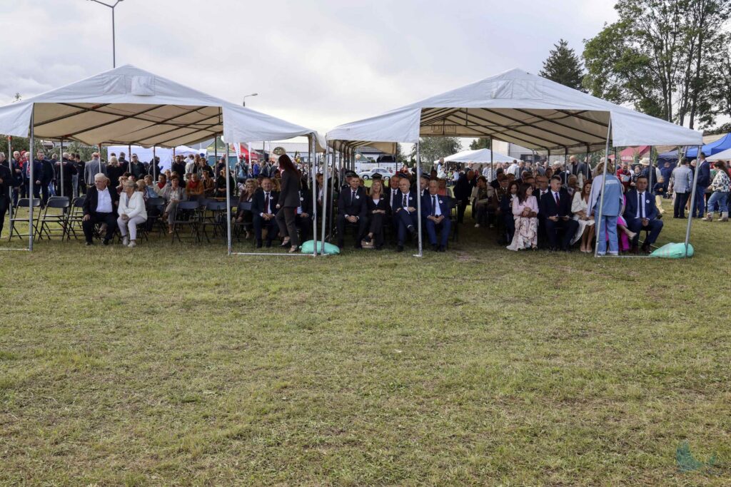 Losowe zdjęcie z galerii