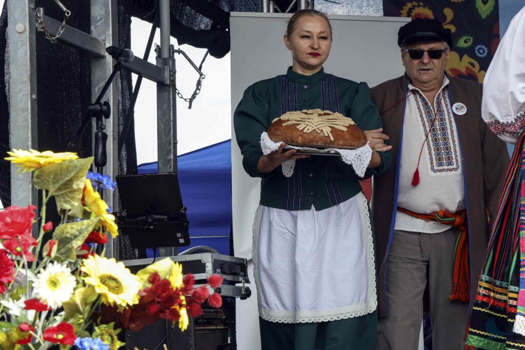 Losowe zdjęcie z galerii