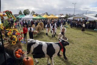Dożynki z produktem lokalnym gminy Łapyn6 września 2026 r. Płonka Kościelna