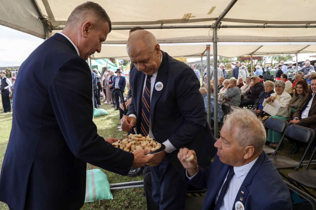 Losowe zdjęcie z galerii